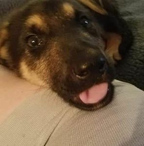 Meet your Posher, Jeff